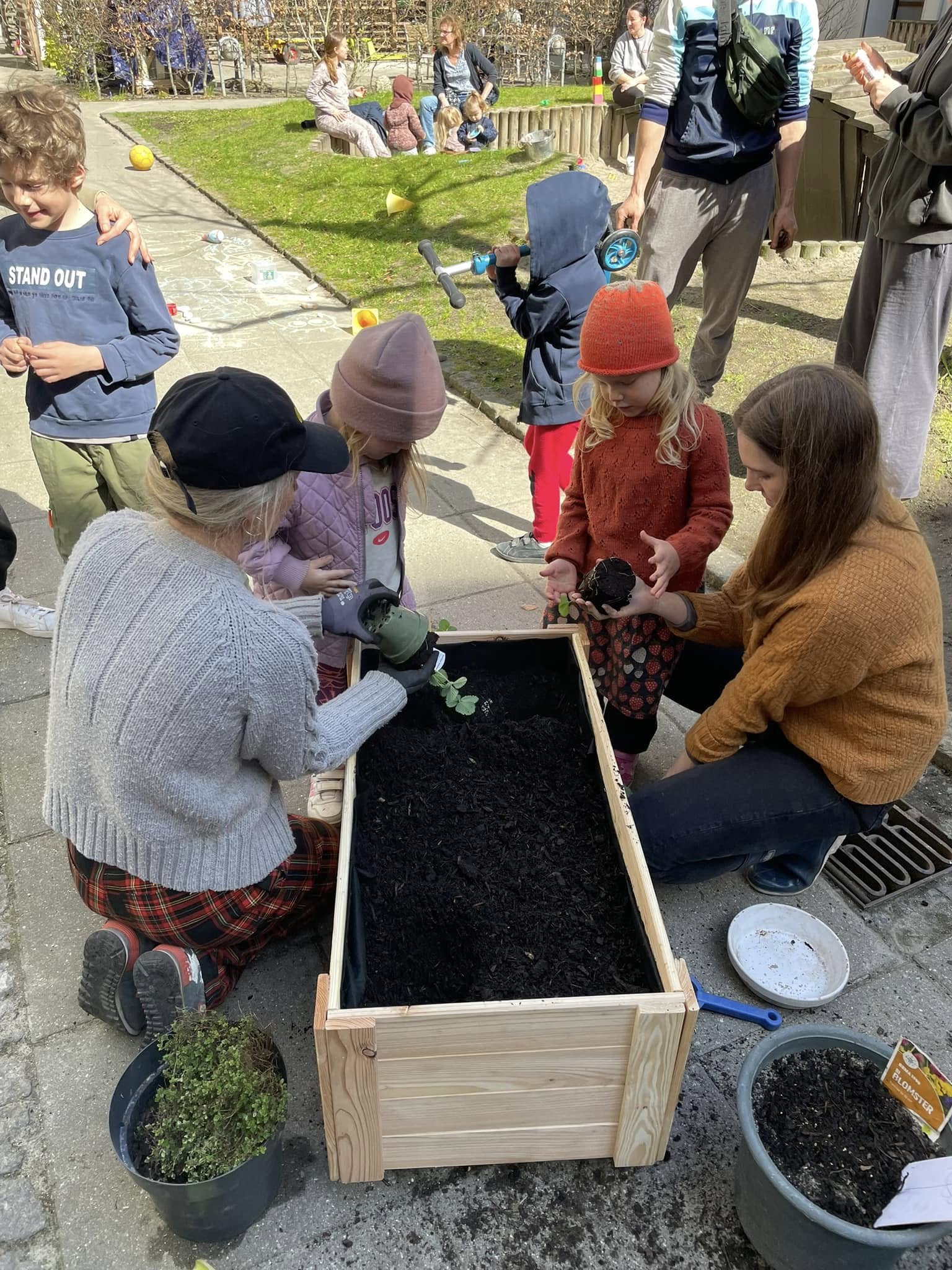 Foreningen betaler for højbede, planter og ikke mindst saft og kage til de hårdtarbejdende andelshavere.