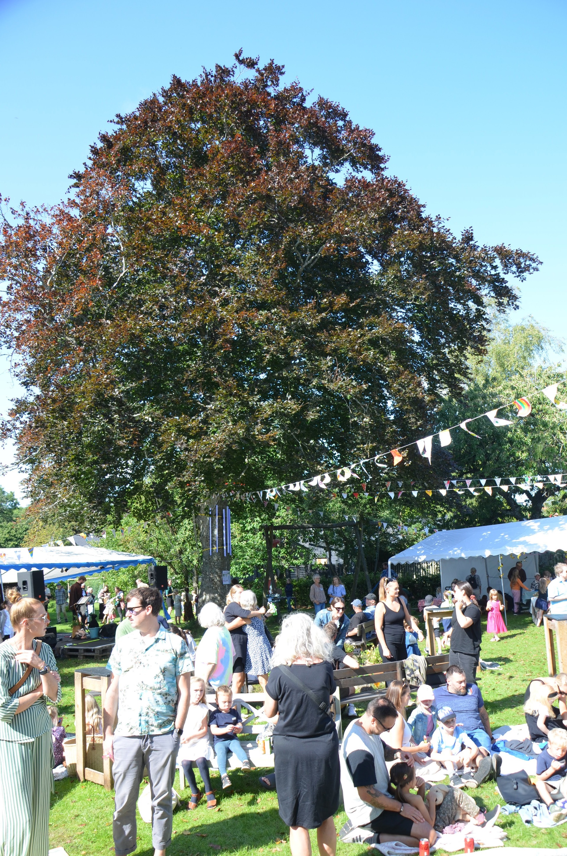 Den gamle blodbøg i A/B Himmeriggården lægger navn til Skødstrups nye kulturtilbud musikfestivalen "Under blodbøgen".